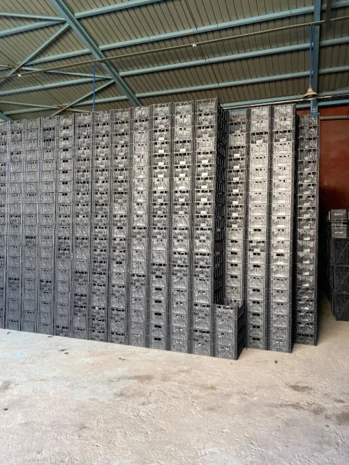Caisses agricoles
