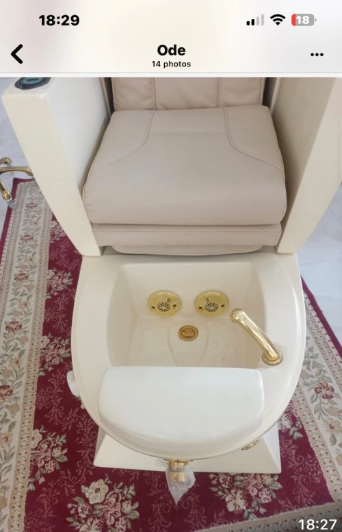 Fauteuil professionnel de soins 