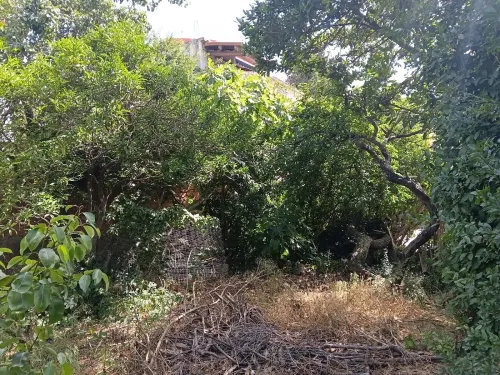 Vente Terrain Alger Bouzareah 17
