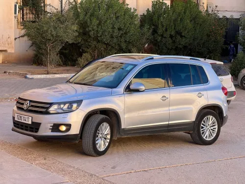 Volkswagen Tiguan 2014 Cup