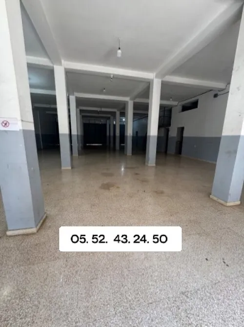 Location Hangar Alger Sidi moussa