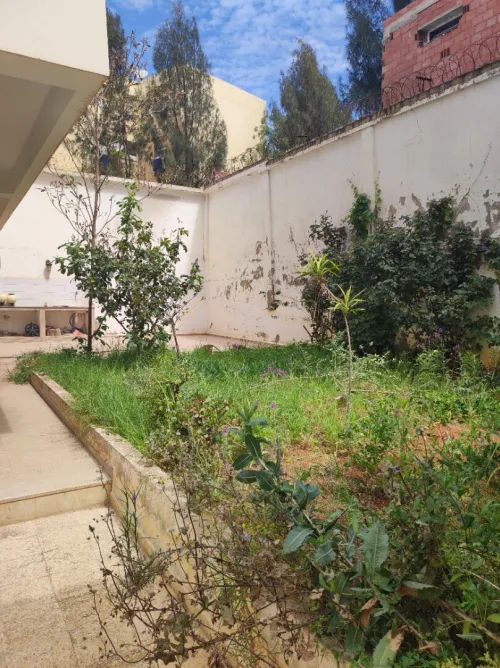 Vente Villa Alger Souidania