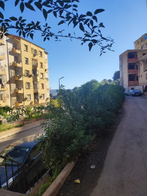 Vente Appartement F3 Tipaza Douaouda