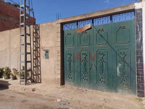 Vente Terrain Mostaganem Hassi maameche