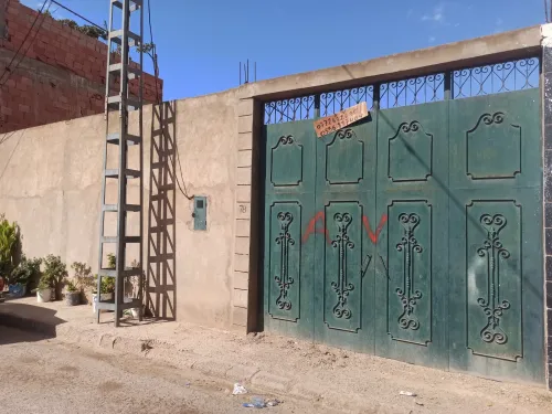 Vente Terrain Mostaganem Hassi maameche