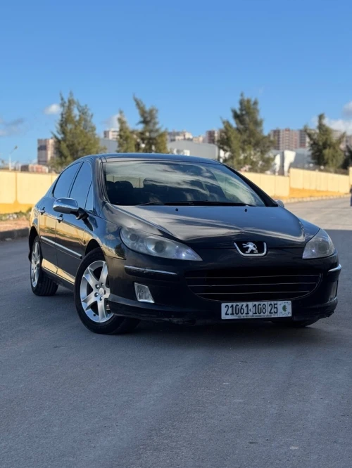 Peugeot 407 2008 407