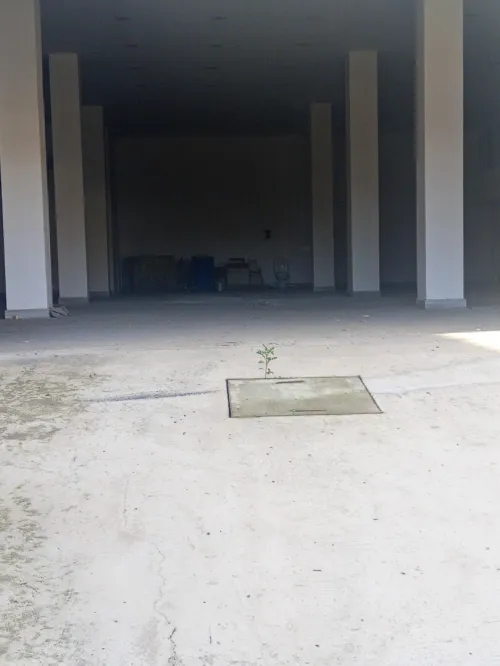 Location Local Alger Gue de constantine