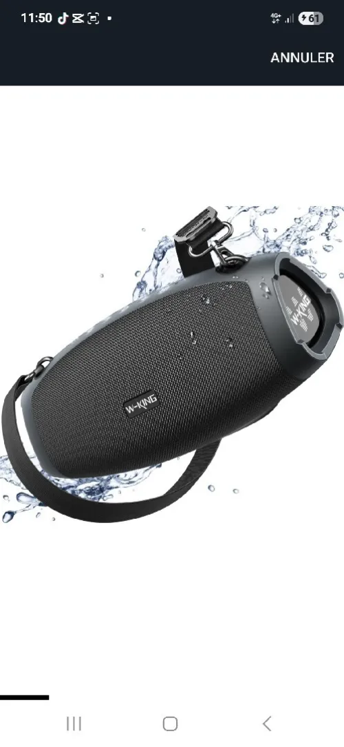 Enceinte Bluetooth Puissante