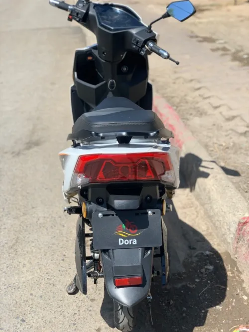 Dora King Sr 2025