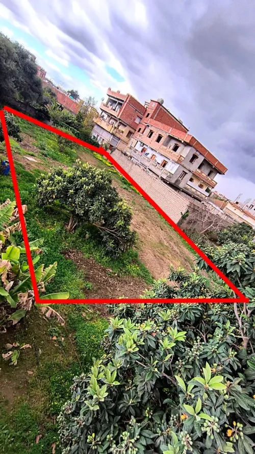 Vente Terrain Boumerdès Hammedi