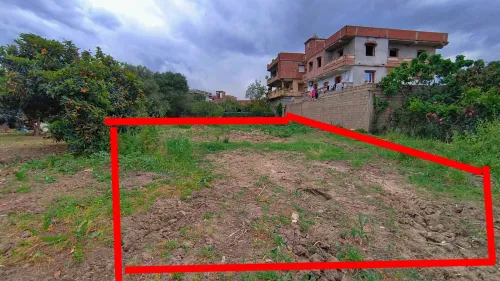 Vente Terrain Boumerdès Hammedi