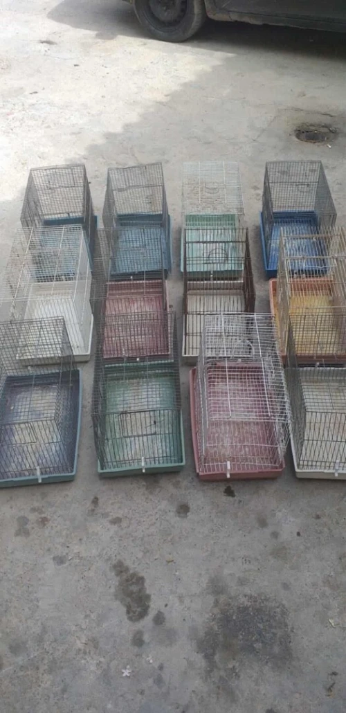 Cages à oiseaux