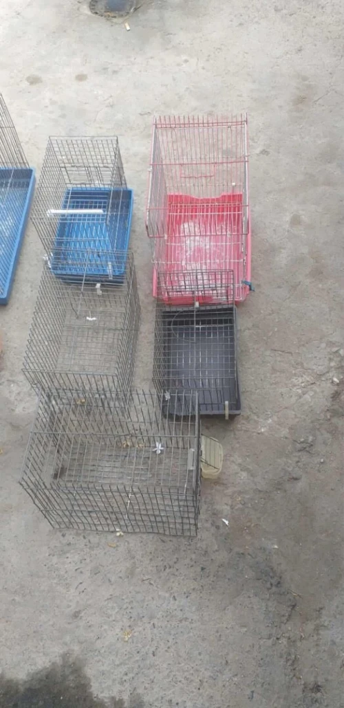 Cages à oiseaux