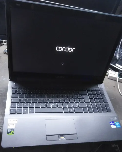 Bios CONDOR P401 6-71-W3S50-D02B W355SDQ 
