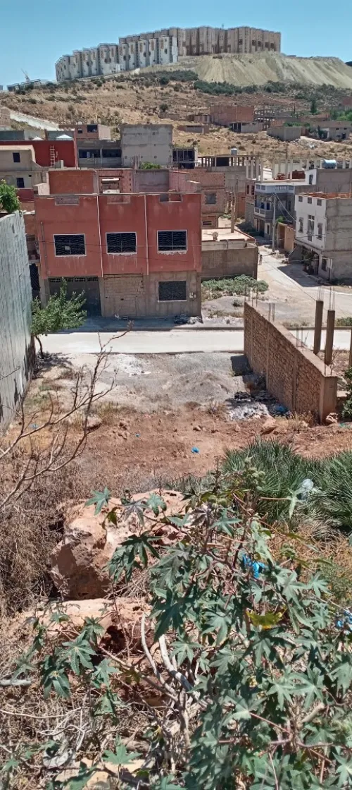Vente Terrain Tlemcen Mansourah