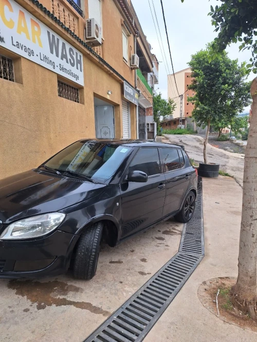 Skoda Fabia 2013 Monte-carlo