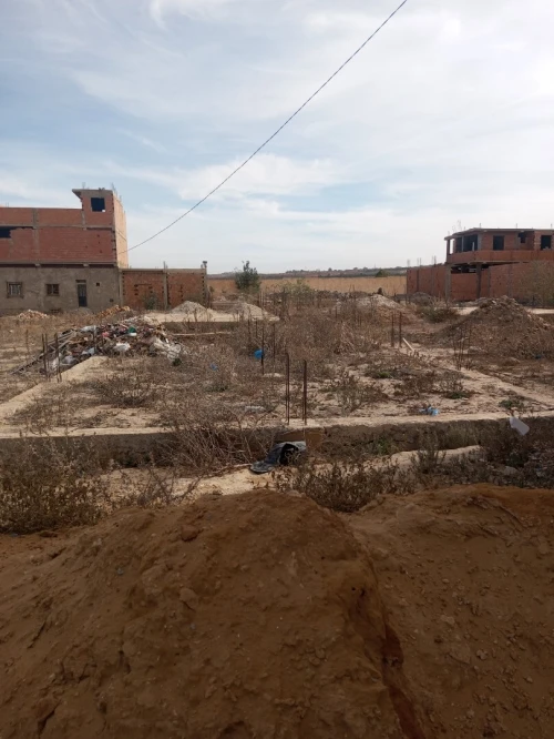 Vente Terrain Mostaganem Hassi maameche