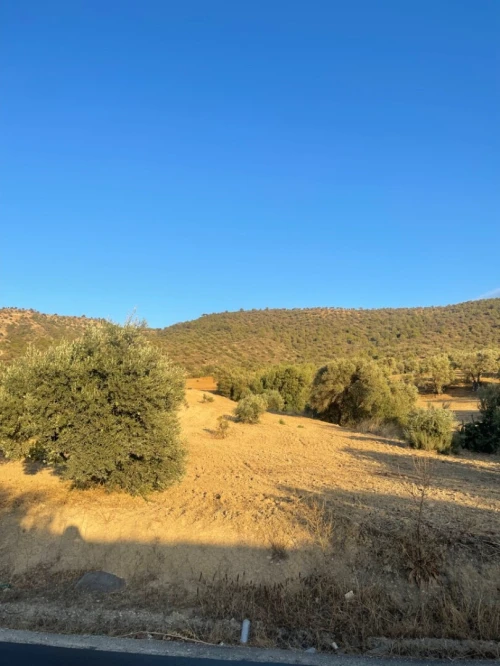 Vente Terrain Béjaïa Seddouk