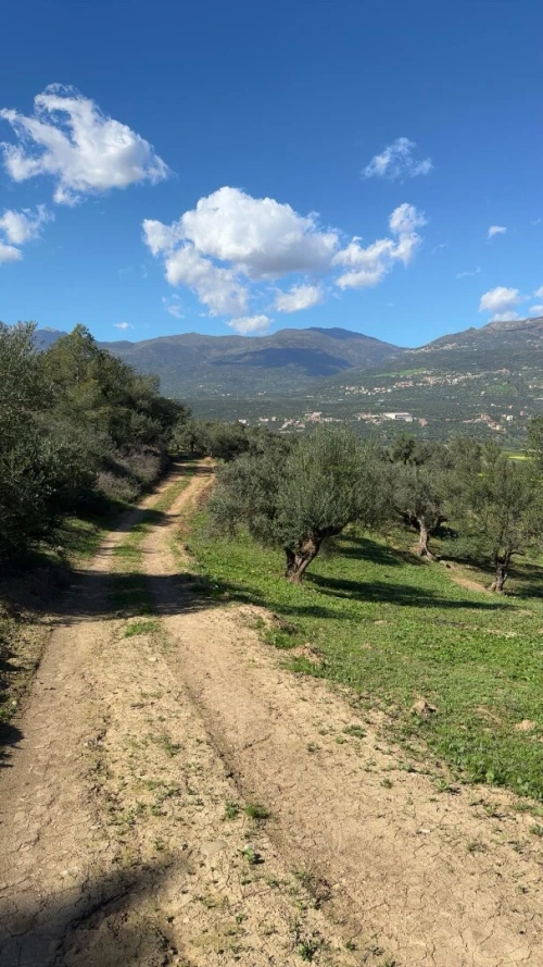 Vente Terrain Béjaïa Seddouk