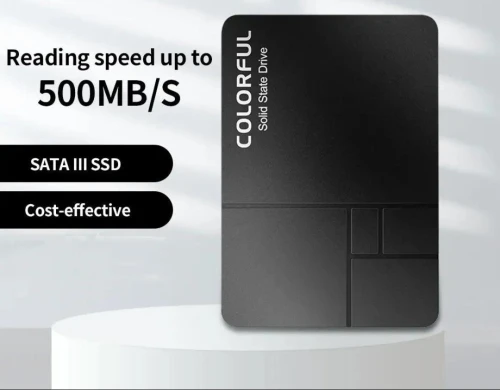 Disque dure 256Gb SSD Sata
