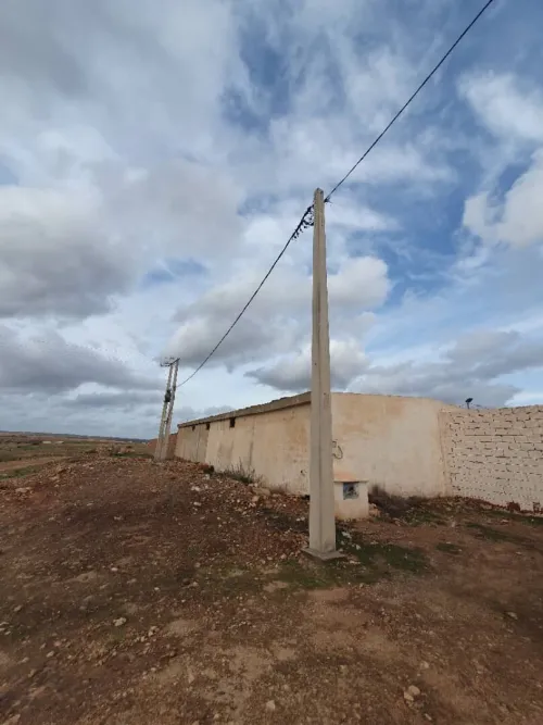 Vente Terrain Agricole Oran Boufatis
