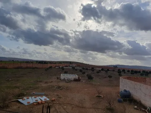 Vente Terrain Agricole Oran Boufatis