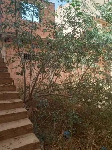 Vente Appartement Niveau de villa F3 Tlemcen Tlemcen