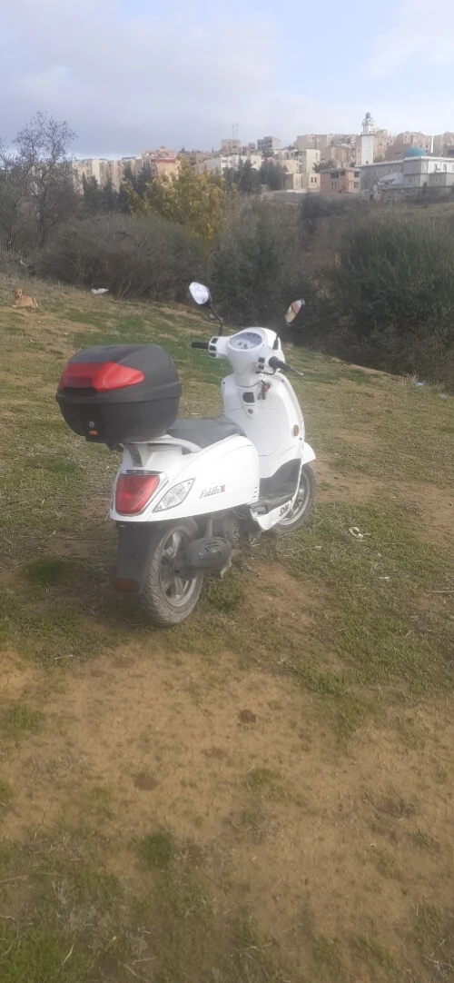 sym fiddle 3 2015