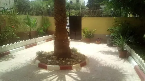 Vente Appartement F3 Alger Staoueli