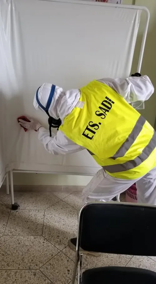 Dératisation : rat et souris, Désinsectisation : cafards, fourmis, puces, punaises de lit. Démoustication. Désinfection