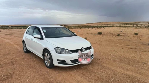 Volkswagen Golf 7 2014 Trendline +