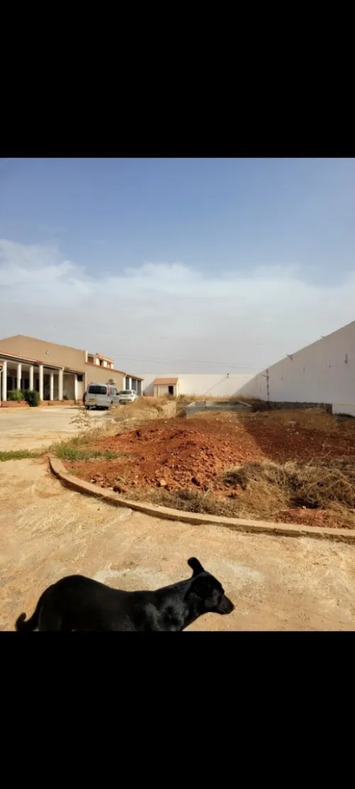 Vente Villa Oran El Kerma