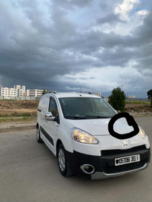 Peugeot Partner 2013 Partner