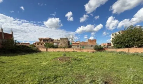 Vente Terrain Boumerdès Ouled moussa