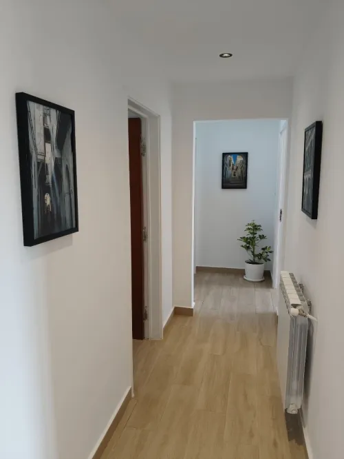 Location Appartement F4 Alger Dely brahim