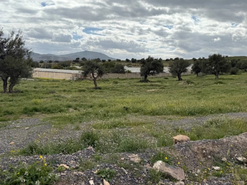 Location Terrain Bouira Ath mansour taourirt