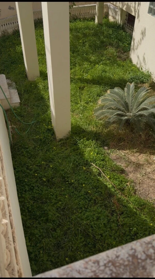 Vente Terrain Alger Cheraga