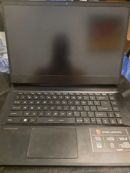 Msi leopard gp66 PC gamer