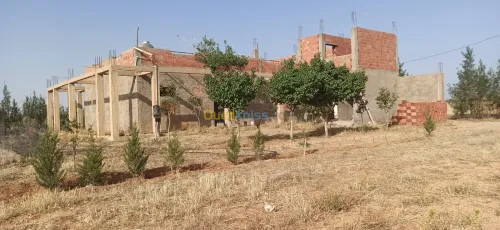 Vente Appartement Niveau de villa Tiaret Tiaret