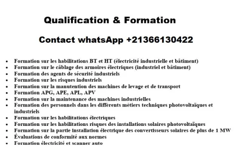 HABILITATION H2 B2+TRAVEAU EN HAUTEUR 