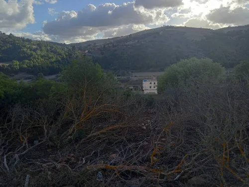 Vente Terrain Medea Tablat