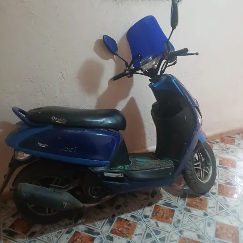 Cuxi Cuxi 2021