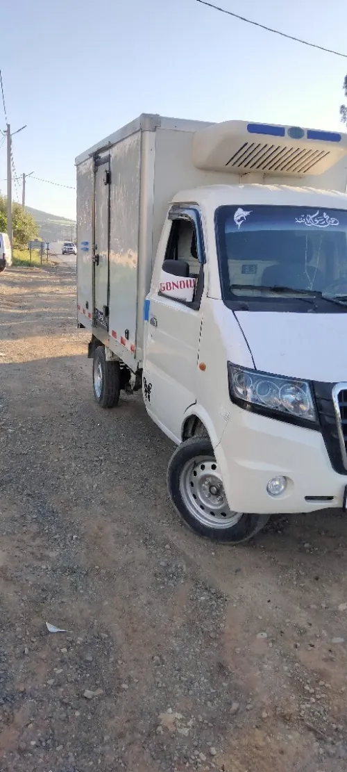 DFSK Mini Frigo 2015 2m50