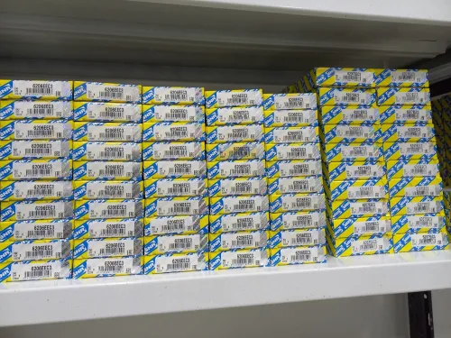 skf relzane