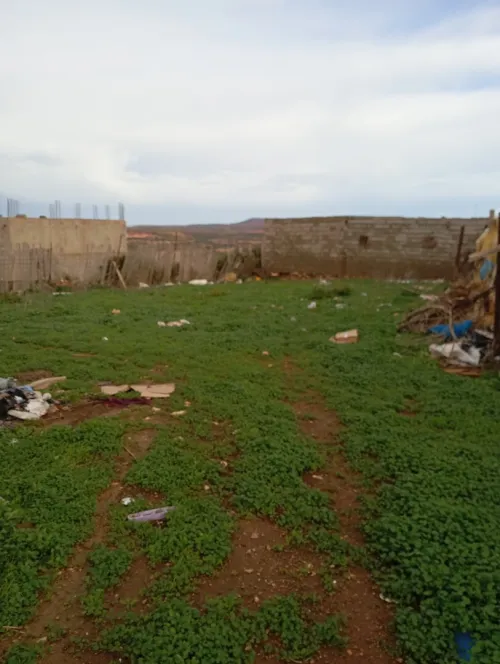 Vente Terrain Agricole Aïn Témouchent Sidi safi