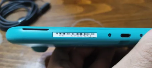 Nintendo Switch Lite (Flashé)