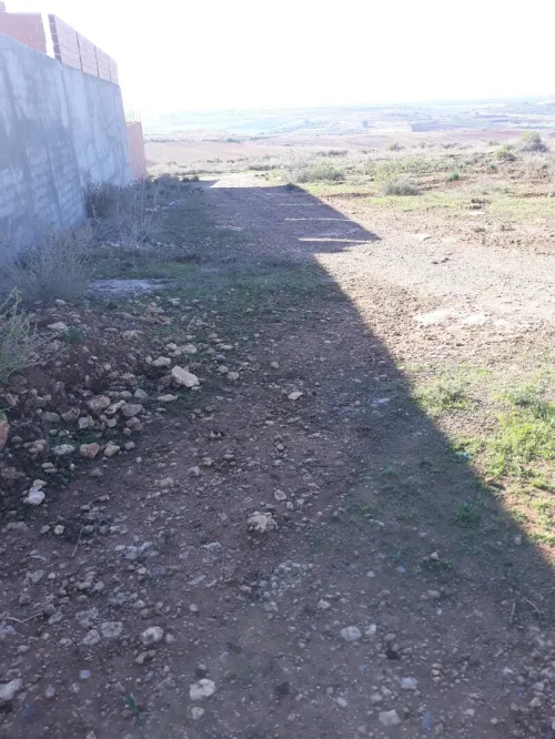 Vente Terrain Tlemcen Marsa ben mhidi