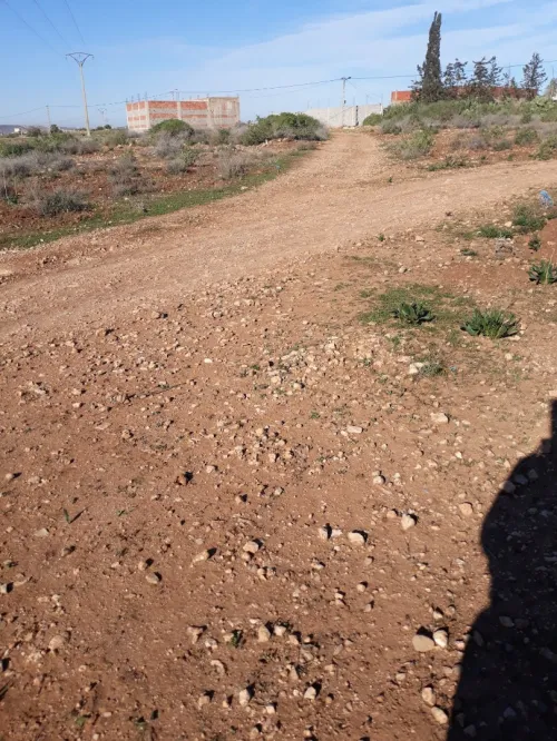 Vente Terrain Tlemcen Marsa ben mhidi