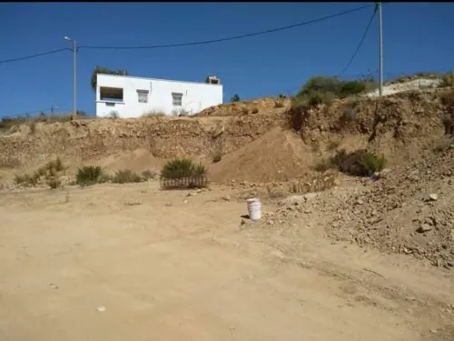 Vente Terrain Tlemcen Tlemcen