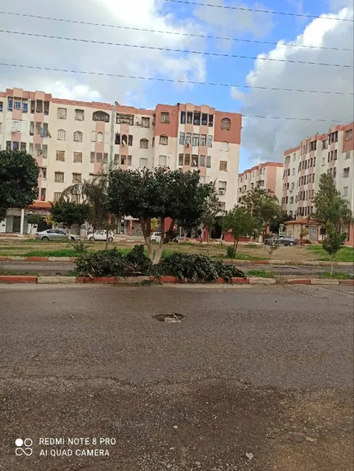 Location Local Blida Beni mered
